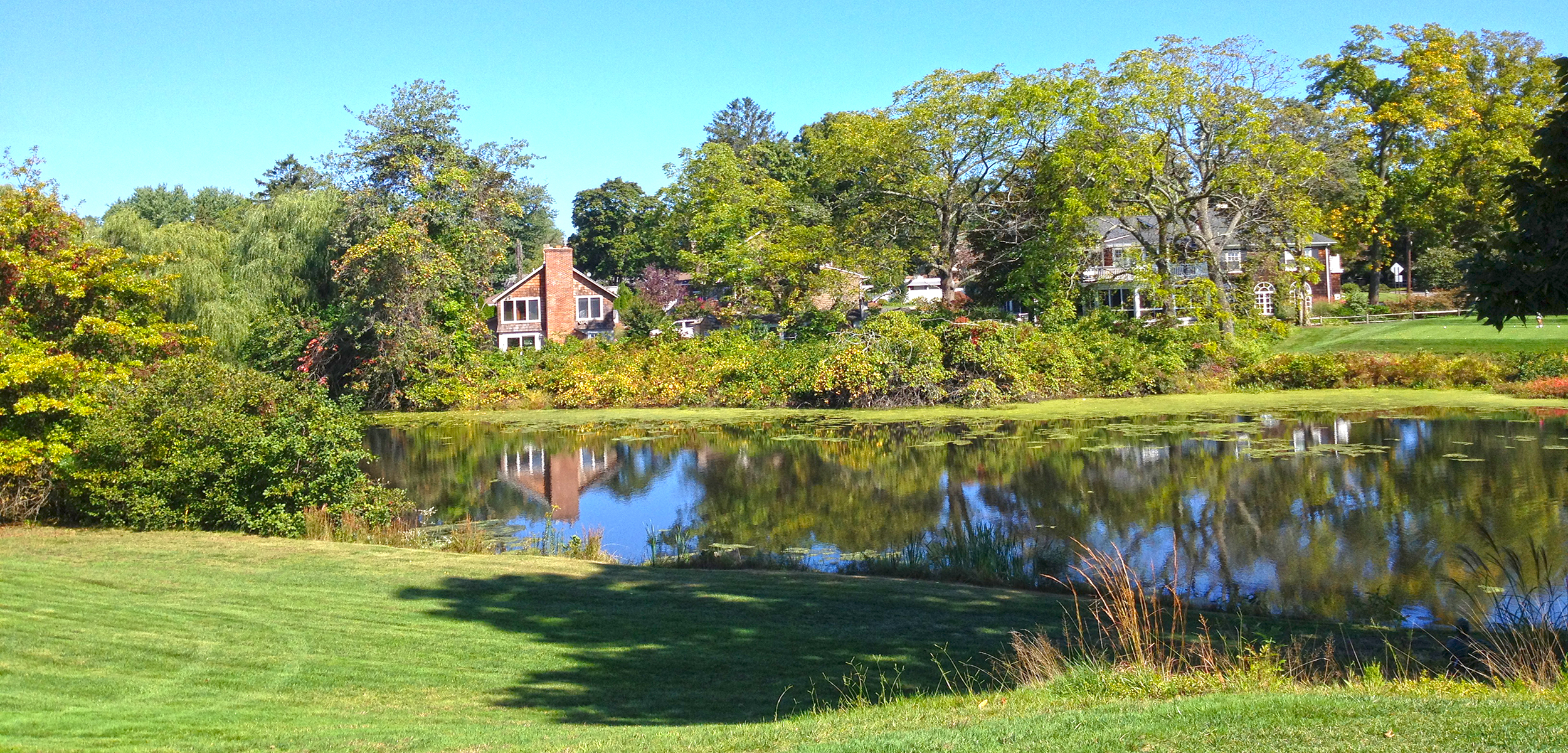 Lakefront Homes