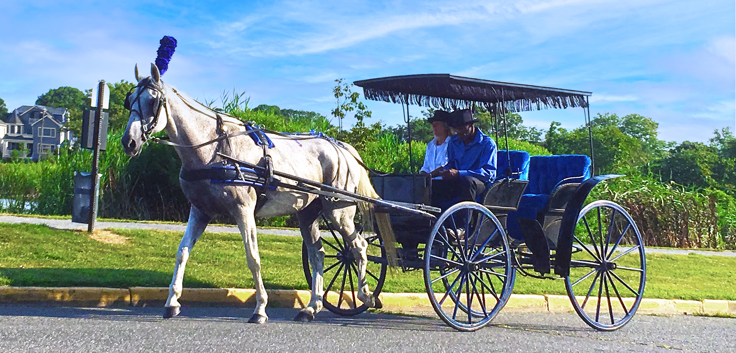 Horse Carriage